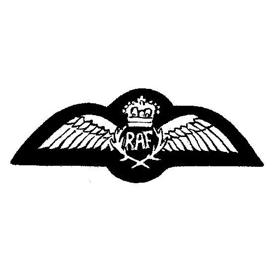 British Embroidered R.A.F. Pilot Badge: WWII
