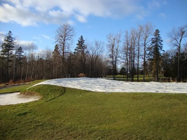 Putting Greens/Baseball Field Material