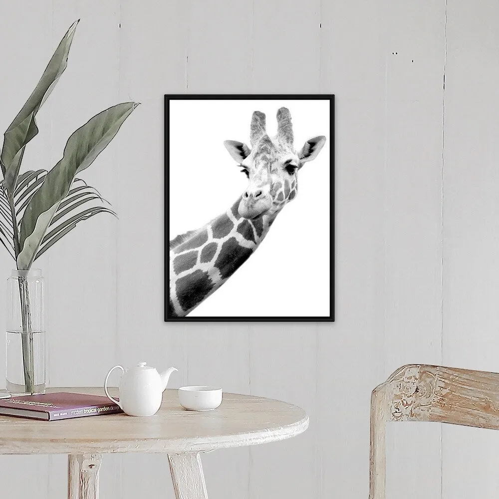 "Black and white portrait of a giraffe" Black Float Frame Canvas Art