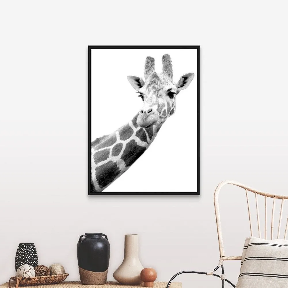 "Black and white portrait of a giraffe" Black Float Frame Canvas Art